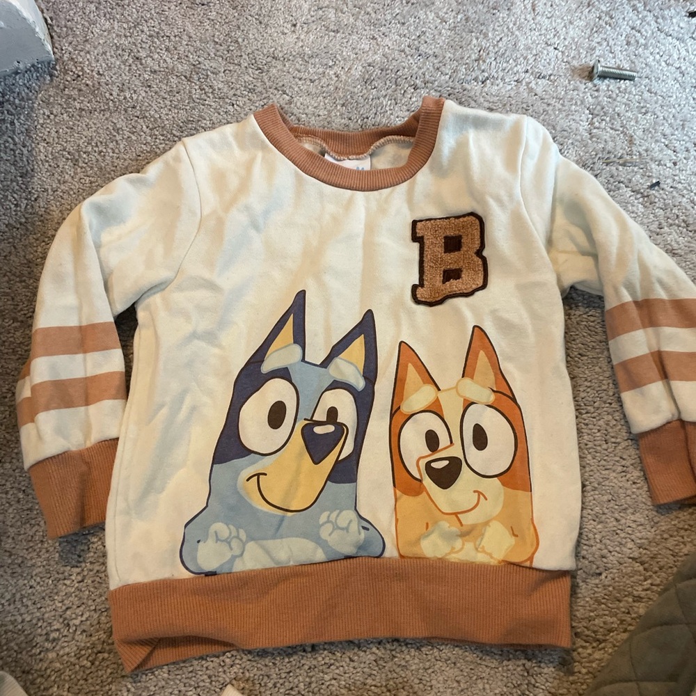 Kids Blue and Tan Character Sweatshirt